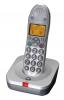 BigTel 100 